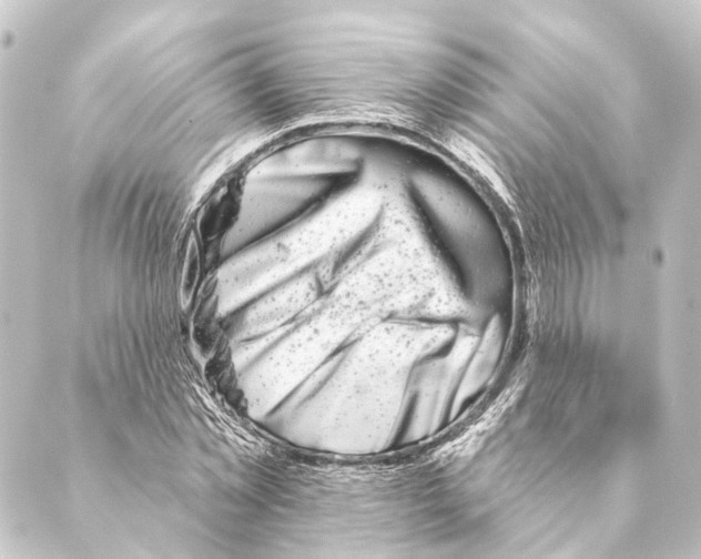 X0000088570781200706221250