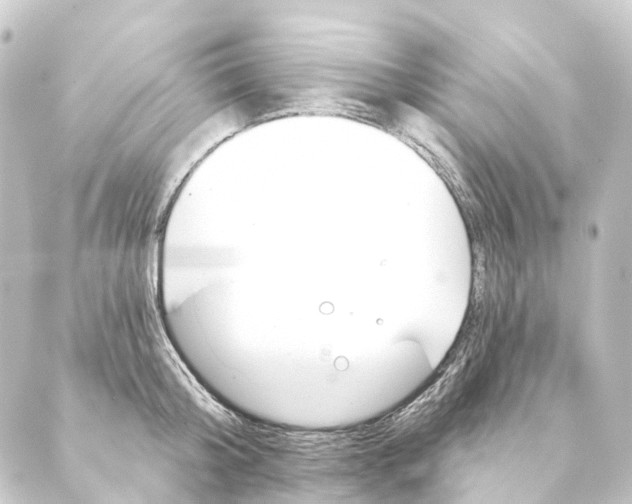 X0000088570804200706221250