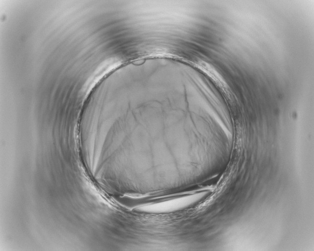 X0000088570806200706221250