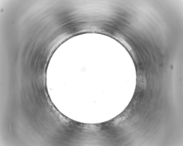 X0000088570807200706221250