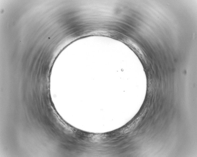 X0000088570808200706221250