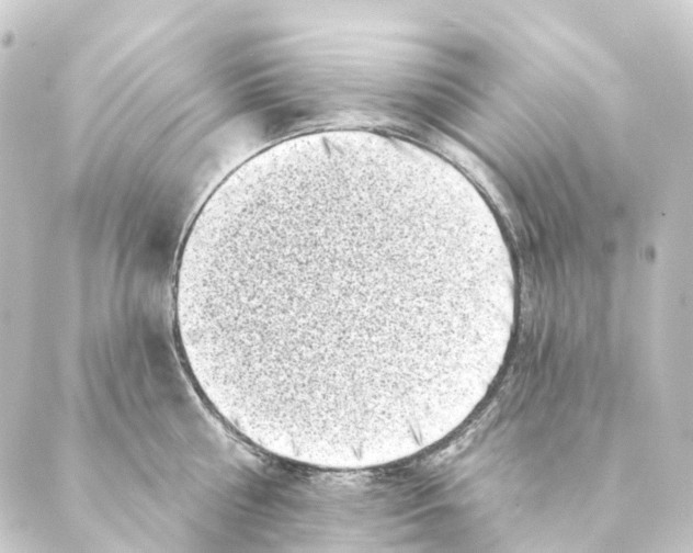 X0000088570810200706221250