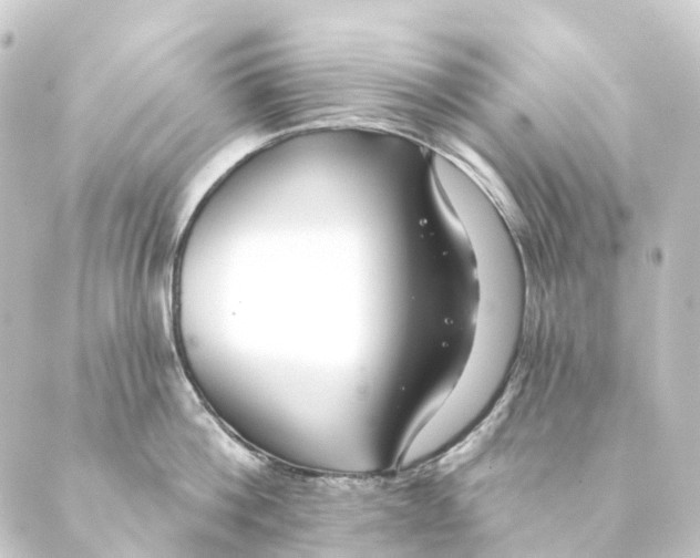 X0000088570812200706221250