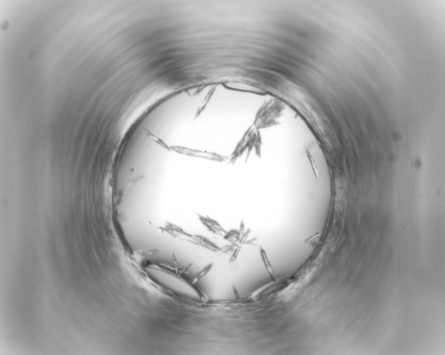 X0000088570814200706221250