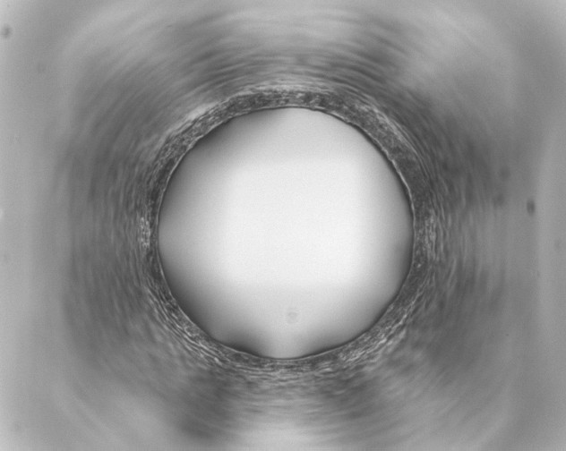 X0000088570821200706221249