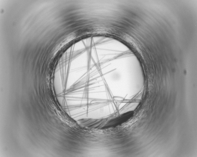 X0000088570827200706221249