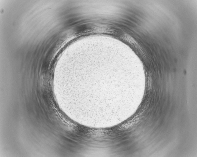 X0000088570828200706221249