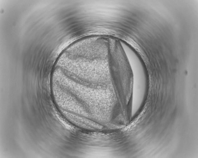X0000088570842200706221249
