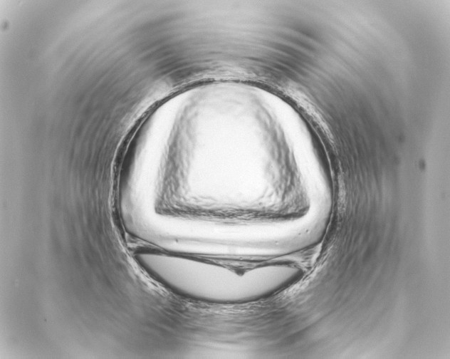 X0000088570845200706221249