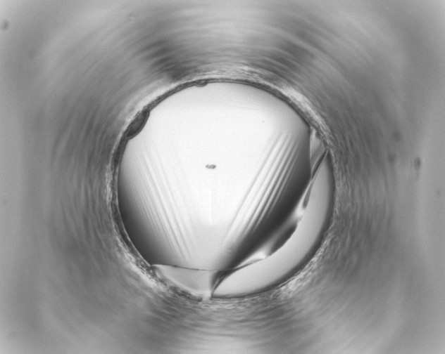 X0000088570846200706221249