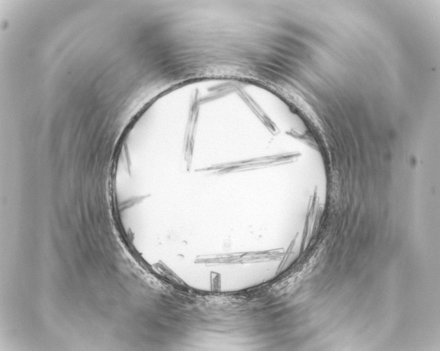 X0000088570847200706221249
