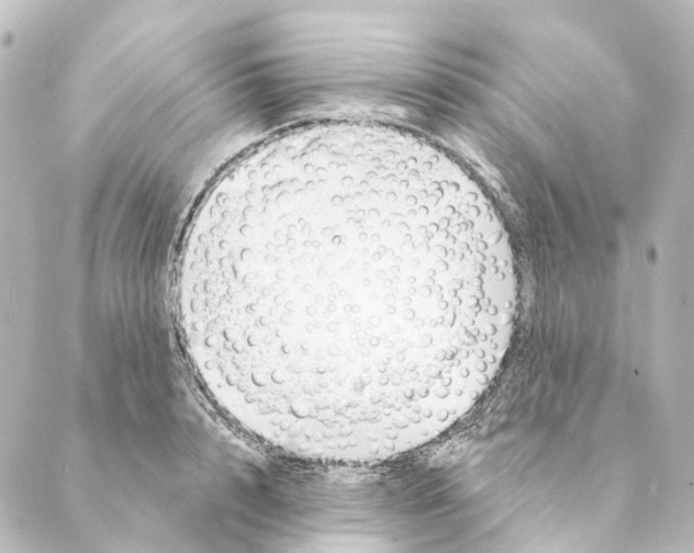 X0000088570848200706221249