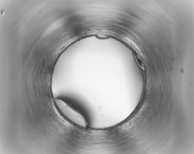 X0000088570849200706221249