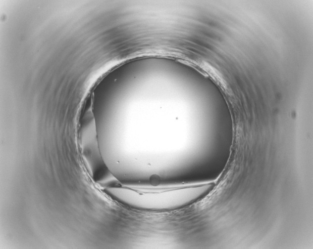X0000088570854200706221249