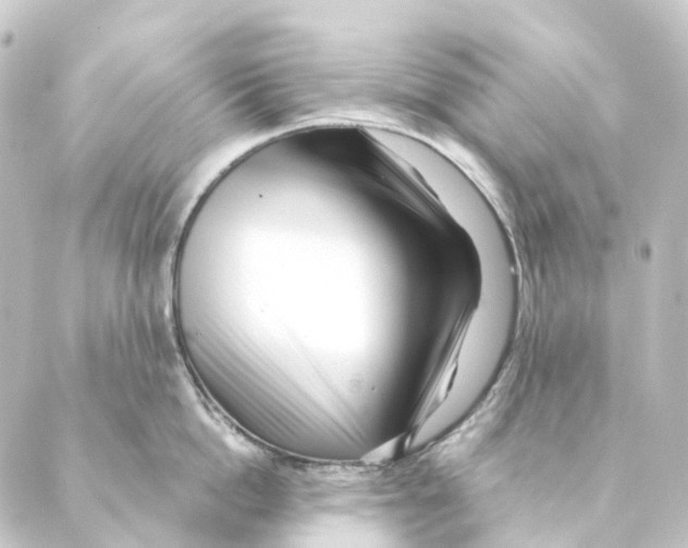 X0000088570862200706221250