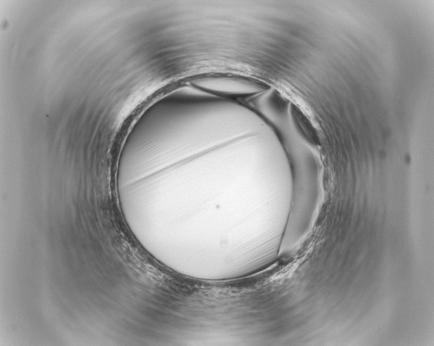 X0000088570877200706221249