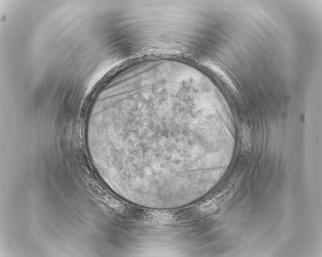 X0000088570878200706221249