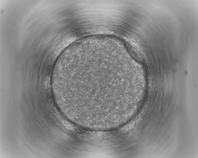 X0000088570881200706221249