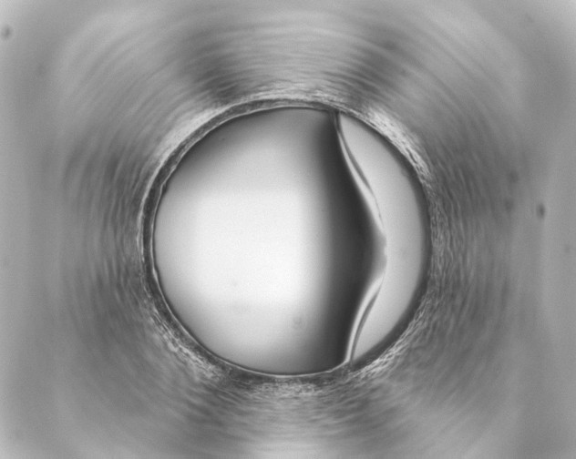 X0000088570884200706221249