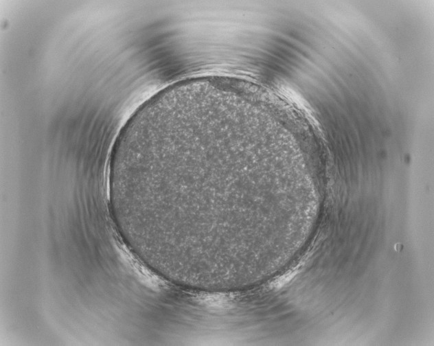 X0000088570892200706221248