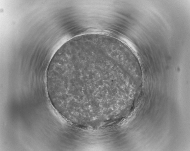 X0000088570907200706221248