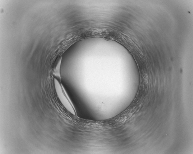 X0000088570914200706221247
