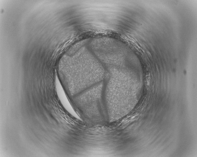 X0000088570916200706221247