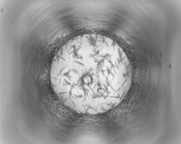X0000088570917200706221247