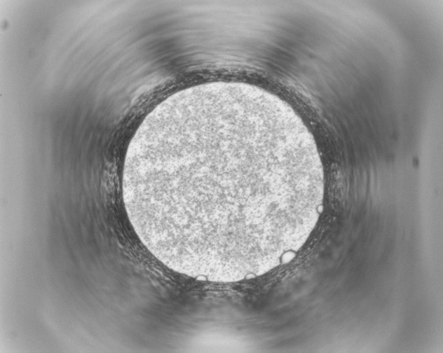 X0000088570918200706221247