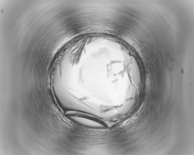 X0000088570925200706221247
