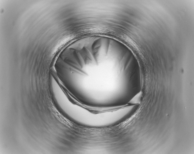 X0000088570930200706221248