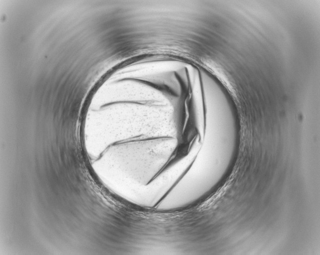 X0000088570932200706221248