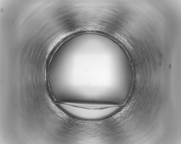 X0000088570934200706221248