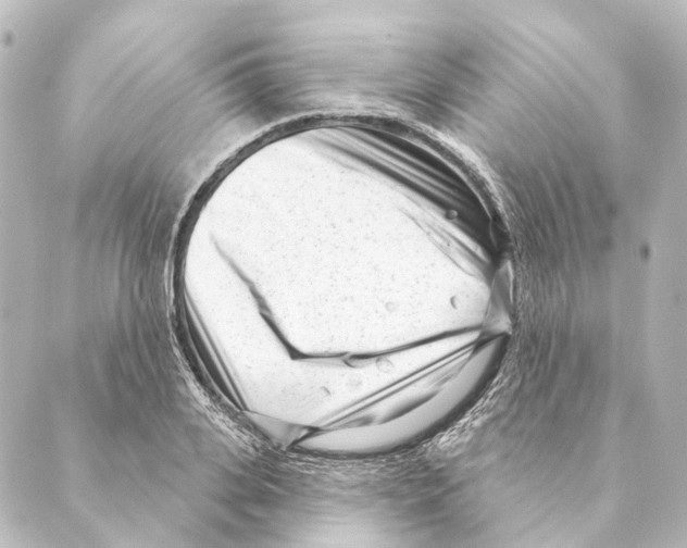 X0000088570935200706221248