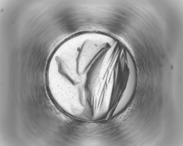 X0000088570943200706221248