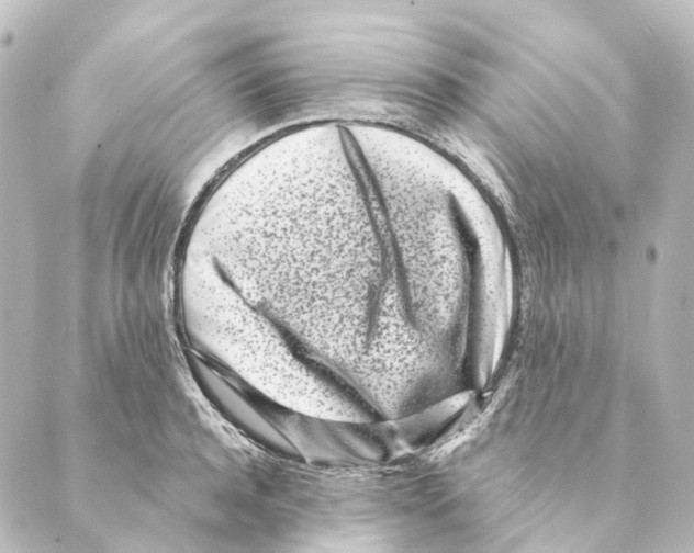 X0000088570944200706221248