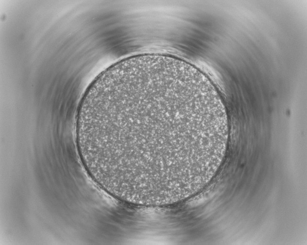 X0000088570950200706221248