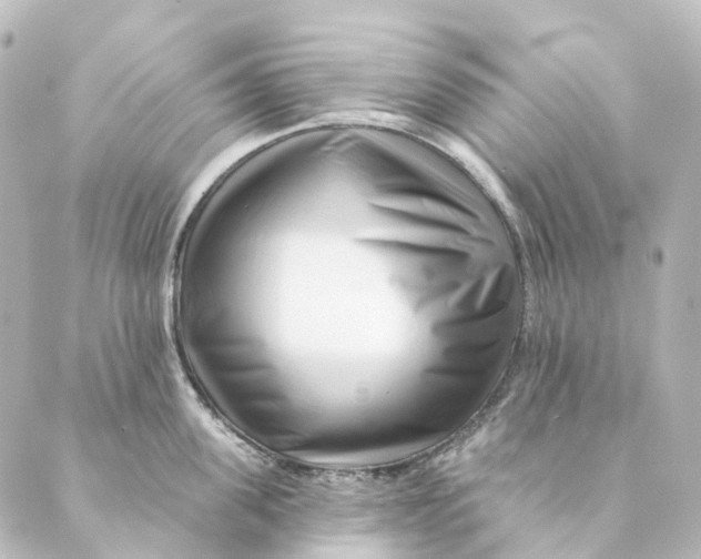 X0000088570955200706221248