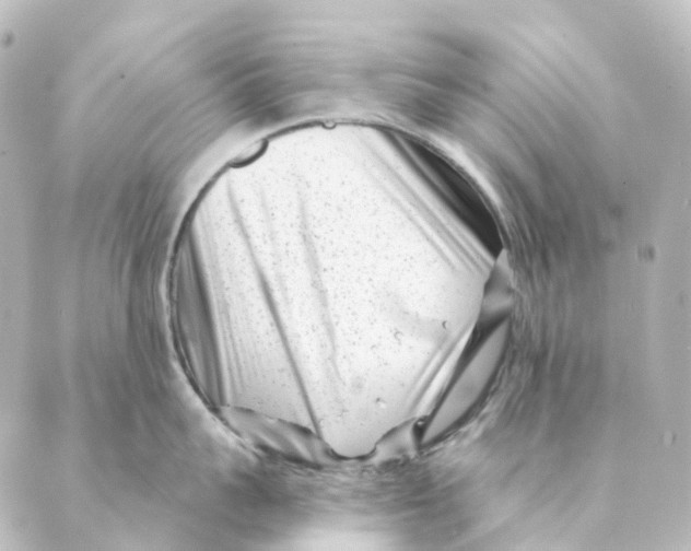 X0000088570959200706221248