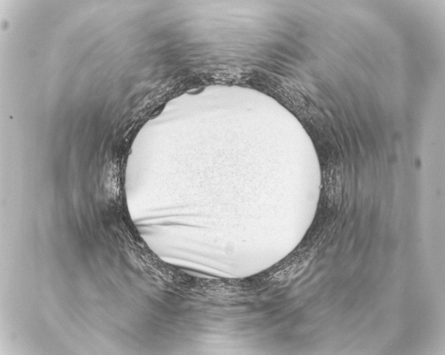 X0000088570962200706221247
