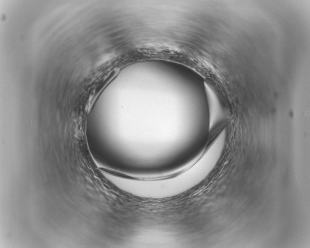 X0000088570965200706221247