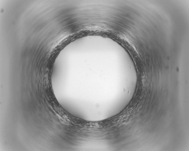 X0000088570968200706221247