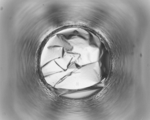 X0000088570975200706221247