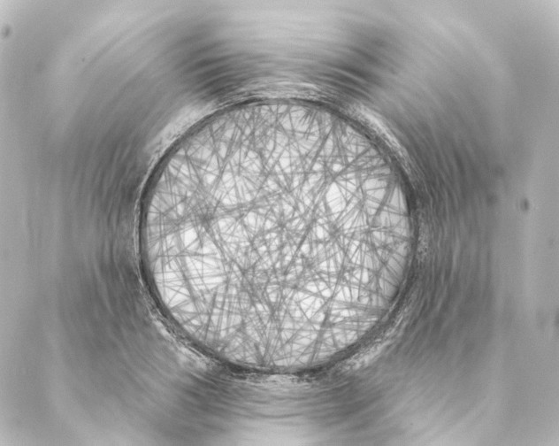 X0000088570986200706221247