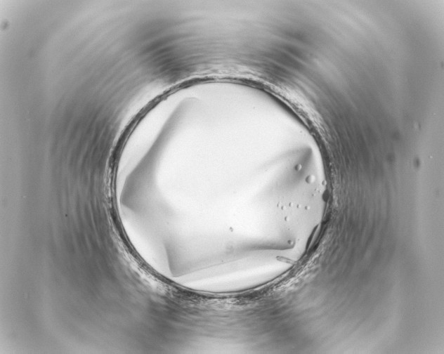 X0000088570990200706221247
