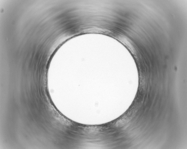 X0000088571000200706221247