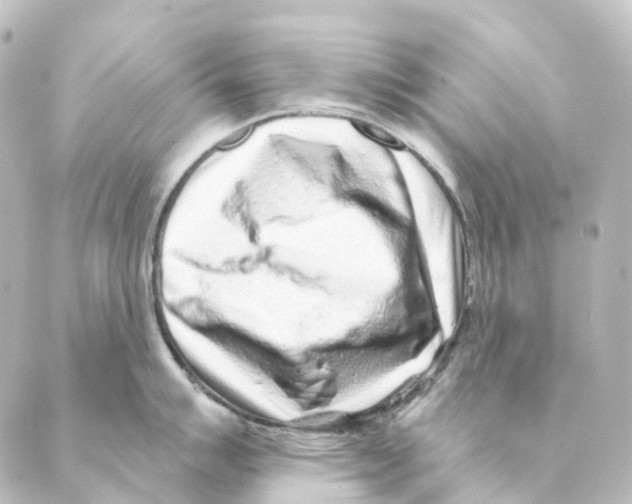 X0000088571007200706221247