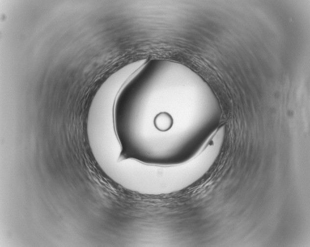 X0000088571010200706221246