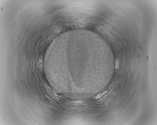 X0000088571011200706221246