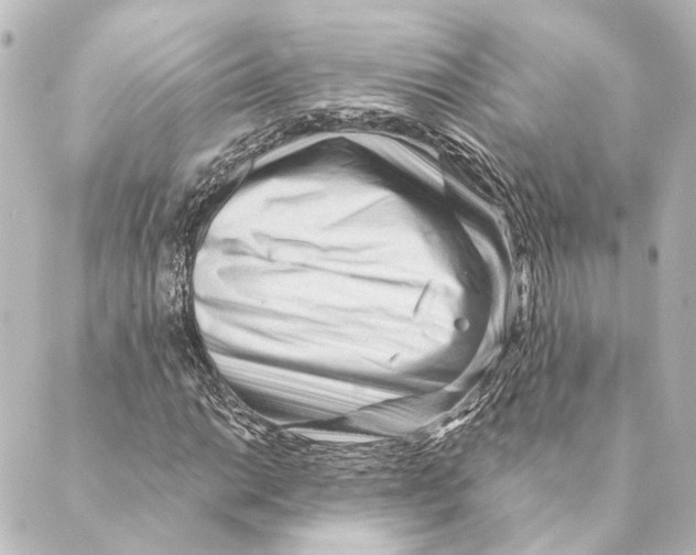 X0000088571014200706221246
